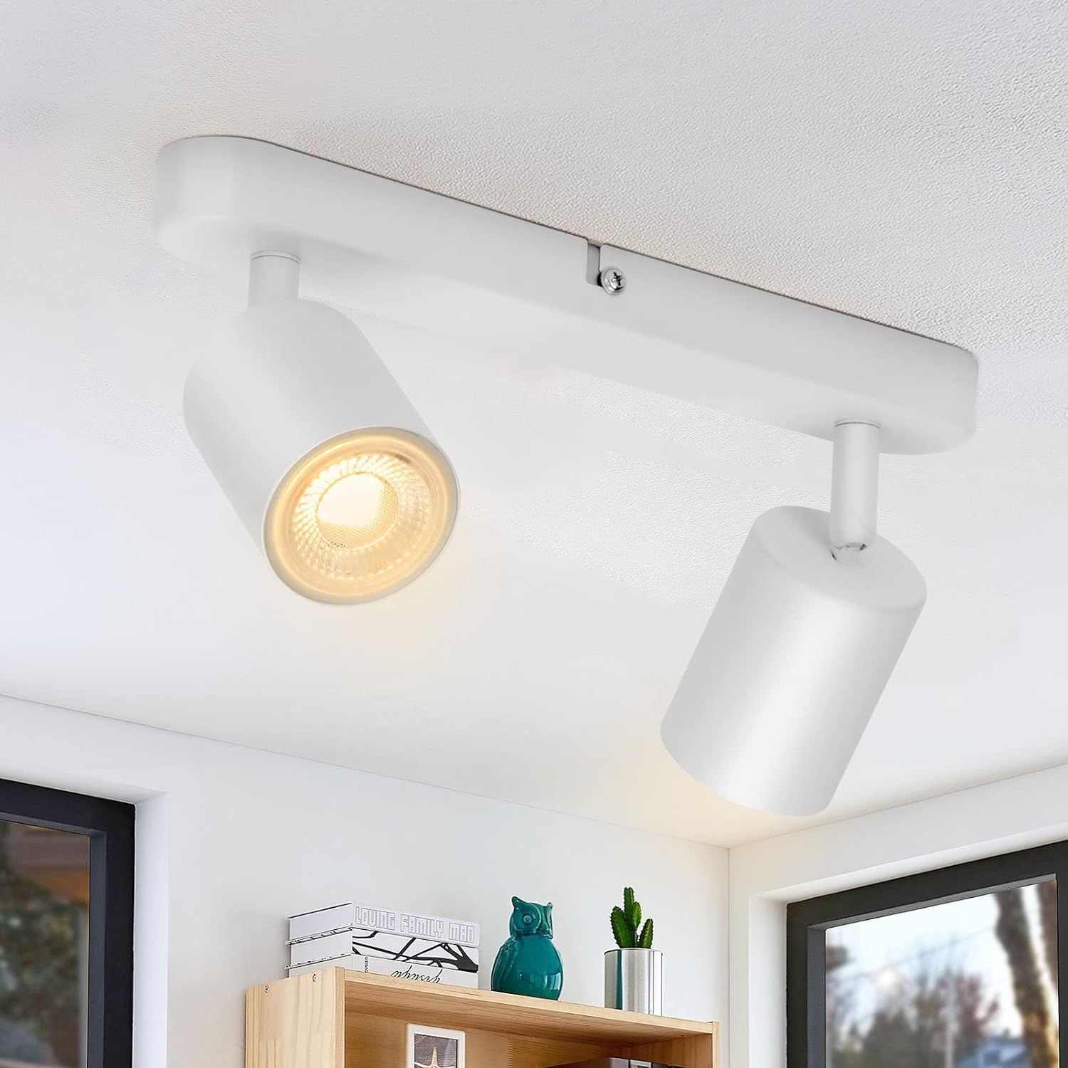 Ceiling Spotlights 2 Ways