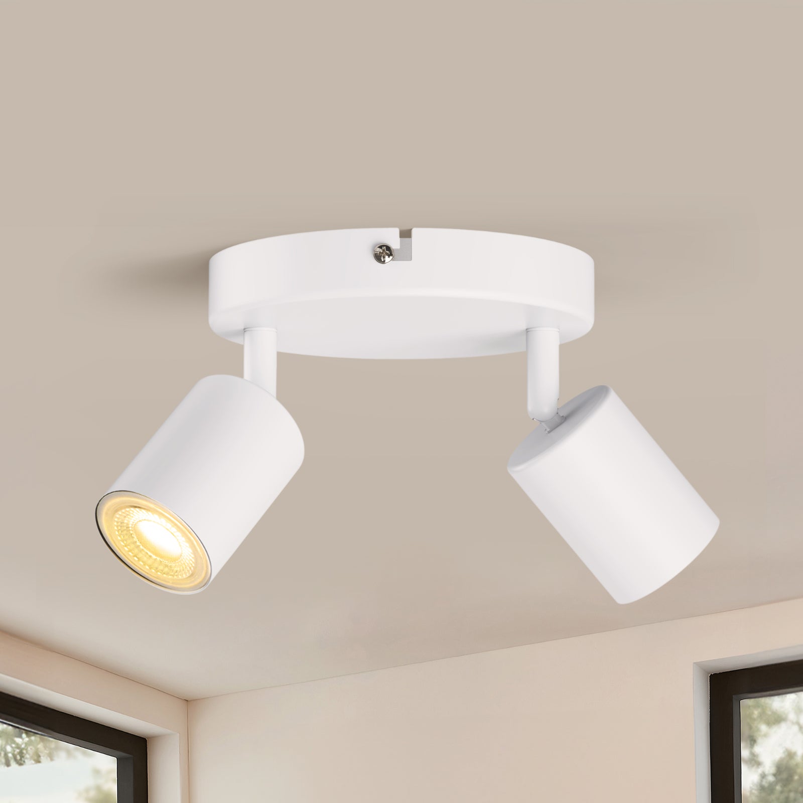 Ceiling Spotlights 2 Ways Round