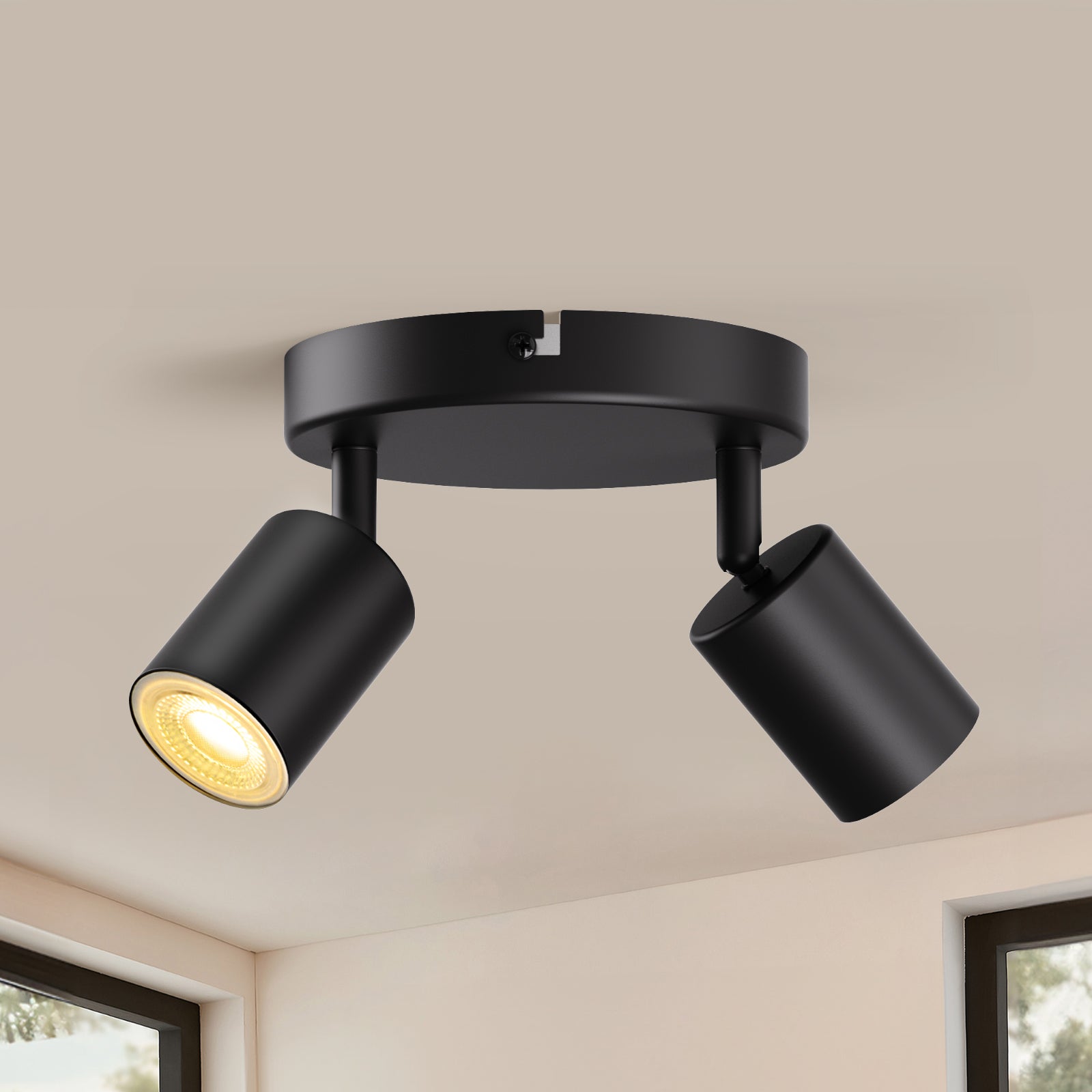 Ceiling Spotlights 2 Ways Round
